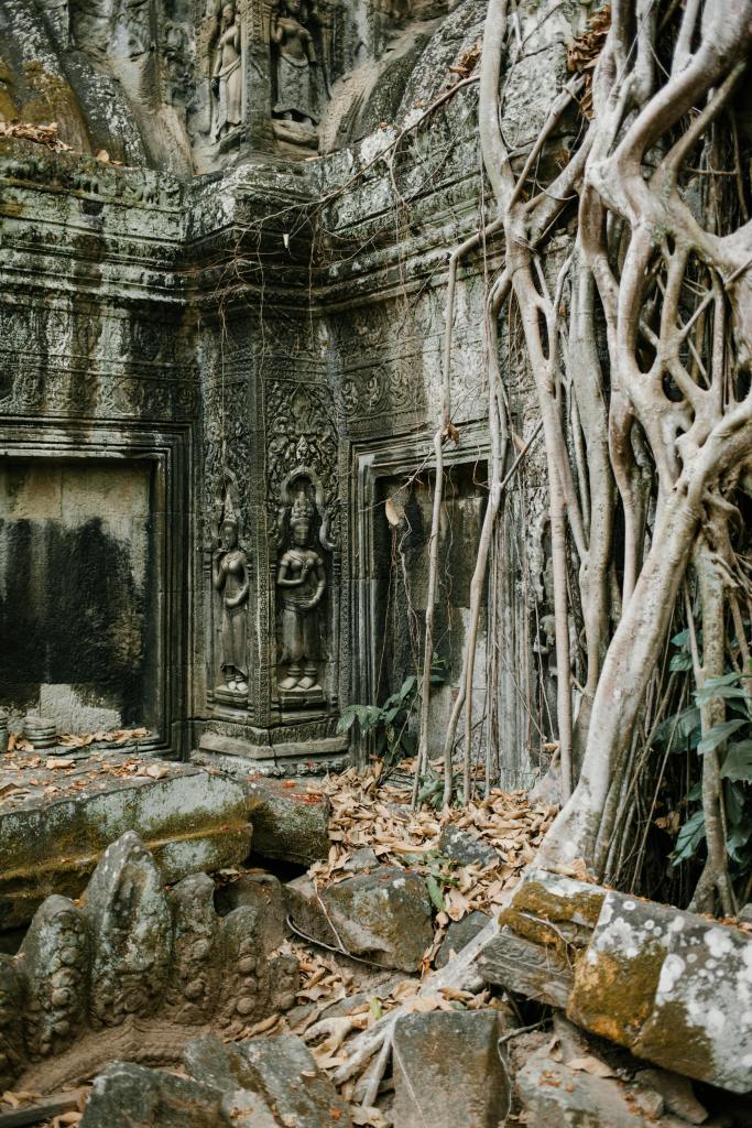 Ancient stone temple ruins overgrown with roots and surrounded by fallen leaves.