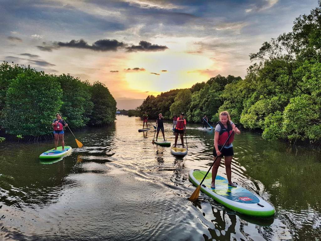 Group of travelers paddleboarding on a river at sunset, surrounded by mangroves and a scenic sky.