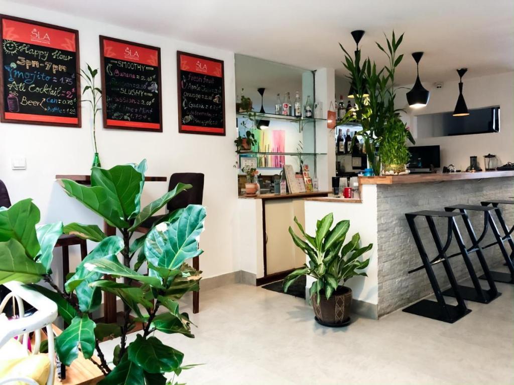 Interior view of SLA Boutique Hostel bar area with plants, menu boards, and seating.